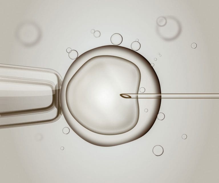 Accumulo di ovociti/embrioni FIVET e ovodonazione