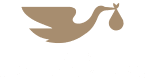 equipo Juana Crespo- clinica fertilidad Valencia