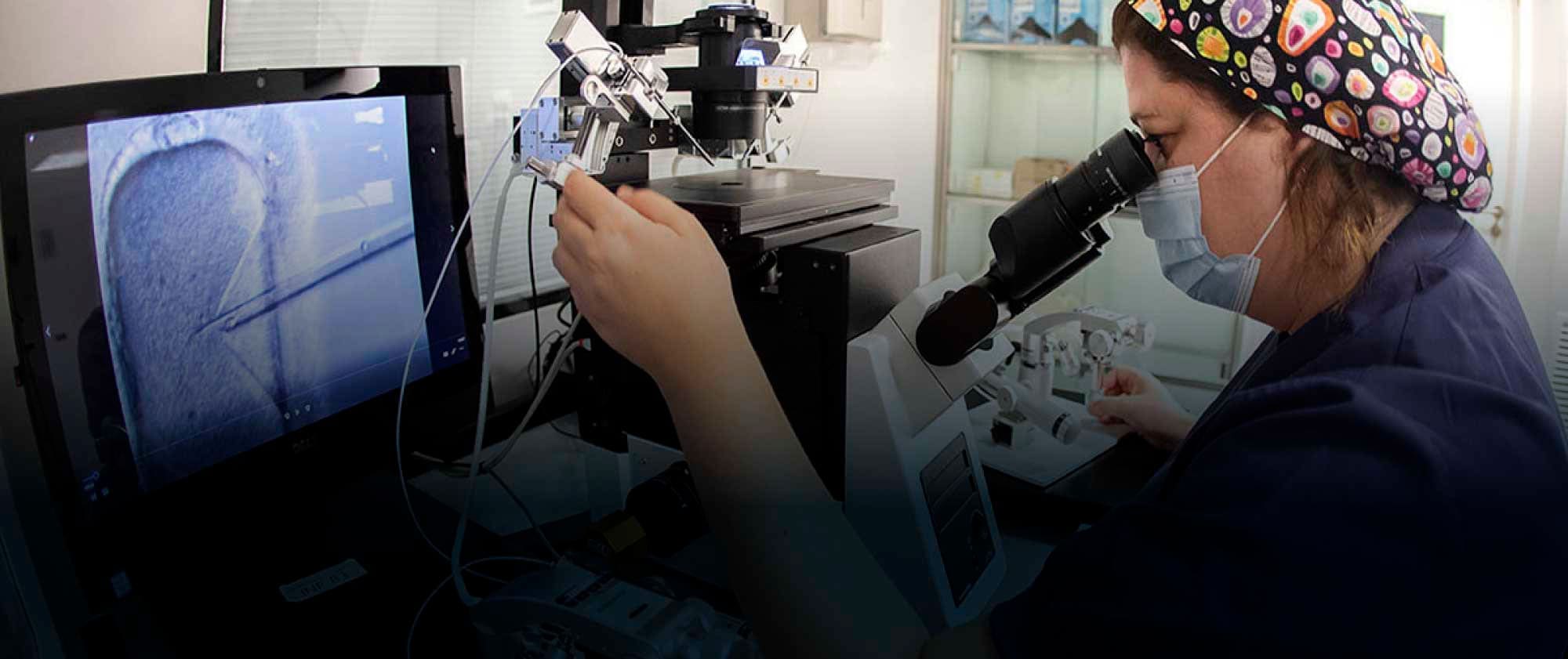 Fecundación In Vitro