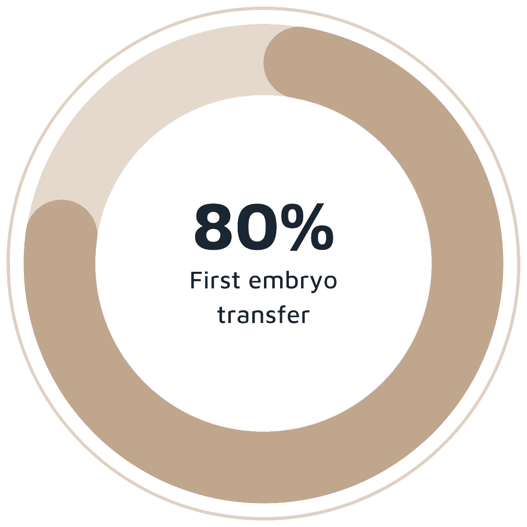 círculo-porcentajes-en-1-opt