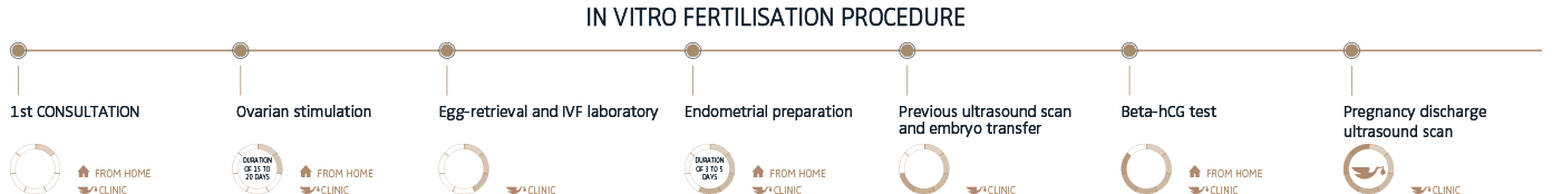fecundacion-in-vitro-desktop-eng
