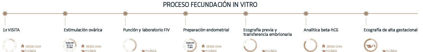 fecundacion-in-vitro-desktop