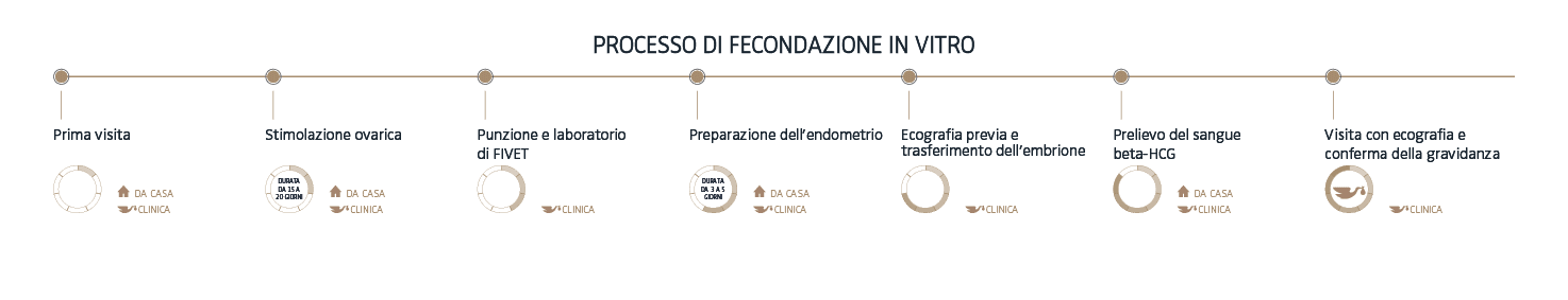 Processo di fecondazione in vitro