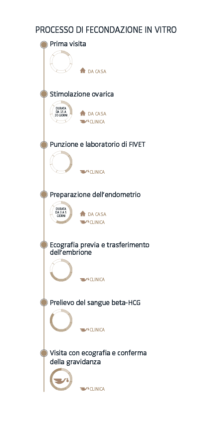 Processo di fecondazione in vitro