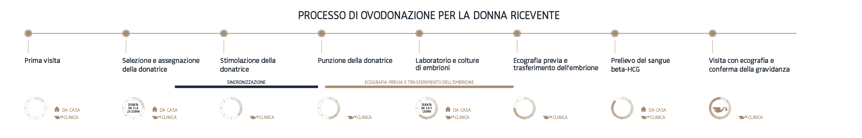Quali sono i passaggi del processo dell’ovodonazione?