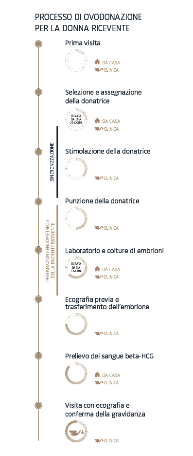 Quali sono i passaggi del processo dell’ovodonazione?