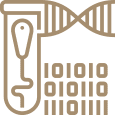 Diagnostico Genetico Fecundación In Vitro