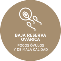 Reserva Ovarica