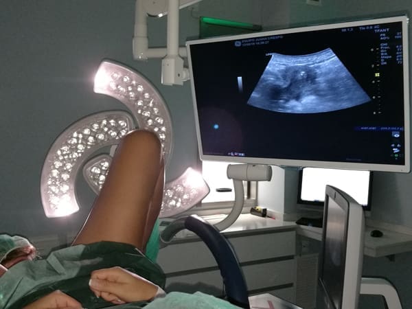 Transferencia Embrionaria Juana Crespo