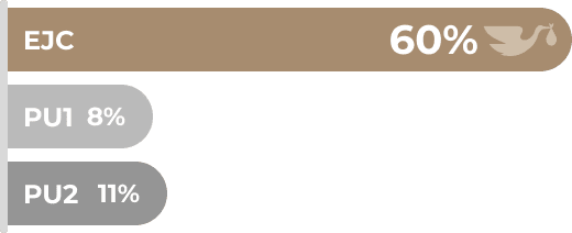 REVITALIZE-Evolutiva