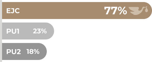 REVITALIZE-Gestación