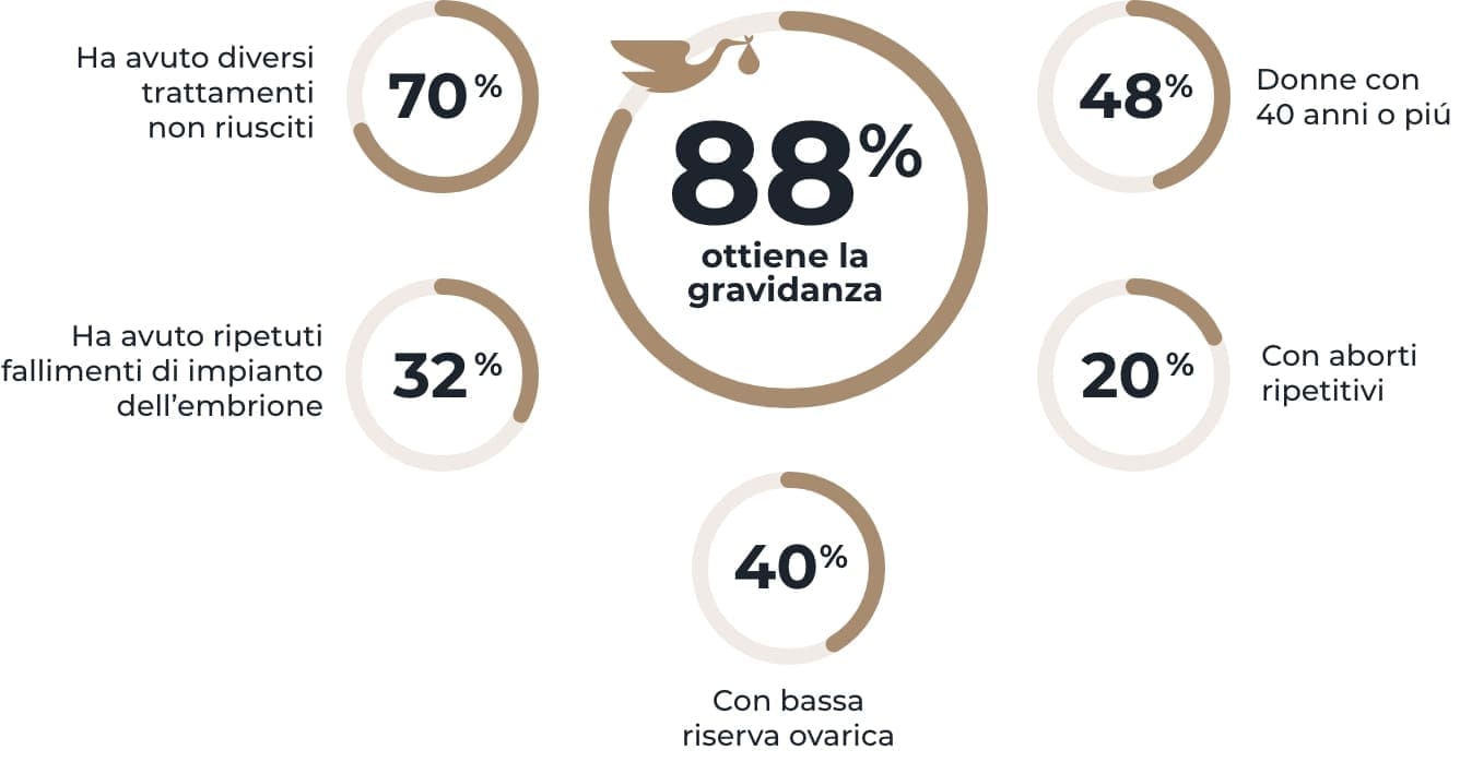 Grupo 229_italiano