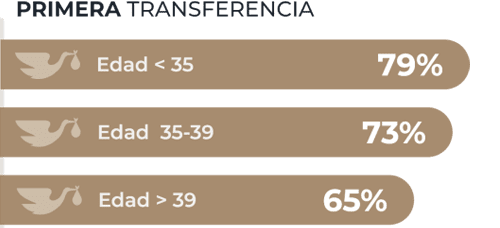 grafico-01-es-500x264rev